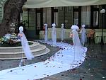     
: DSC01980.jpg
: 146
:	163.2 
ID:	648511