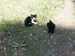     
: 20130707_140832.jpg
: 4
:	280.3 
ID:	6485886