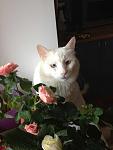     
: qL306buZDfk.jpg
: 4
:	104.1 
ID:	6486061