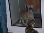     
: 103_5549.jpg
: 7
:	91.2 
ID:	6486517