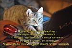     
: dlyakota.ru_kotiotkotomatrici_poka-na-kuhne-est-svoy-buterbrod-vzglyanut-chego-opyat-tam-navaya.jpeg
: 14
:	59.6 
ID:	6489678