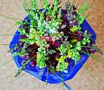    
: DSC_0465.jpg
: 9
:	205.4 
ID:	6491697