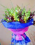     
: DSC_0466.jpg
: 9
:	122.1 
ID:	6491714