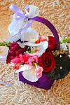    
: DSC_0455.jpg
: 6
:	90.6 
ID:	6491748
