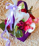     
: DSC_0456.jpg
: 9
:	103.8 
ID:	6491749