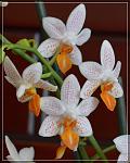     
: DSC_0723.jpg
: 19
:	62.9 
ID:	6492221