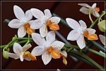     
: DSC_0722.jpg
: 15
:	97.9 
ID:	6492222