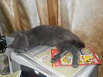     
: DSCN0797.JPG
: 19
:	271.4 
ID:	6492732