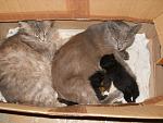     
: DSCN3116.jpg
: 16
:	143.8 
ID:	6492763