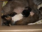     
: DSCN3094.jpg
: 17
:	136.3 
ID:	6492765