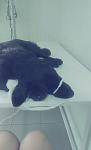     
: -eYdBr5lCsU.jpg
: 11
:	22.9 
ID:	6494758