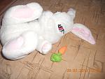     
: DSCN0957.jpg
: 10
:	104.6 
ID:	6495579