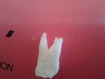     
: 20130710_150459.jpg
: 52
:	77.7 
ID:	6495792