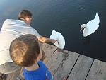     
: DSC04977.jpg
: 43
:	100.2 
ID:	6496261