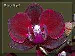     
: DSC_0261.jpg
: 8
:	147.1 
ID:	6496463