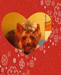     
: IMG_0528n.jpg
: 25
:	164.1 
ID:	6497773