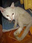     
: DSC09432.jpg
: 11
:	80.6 
ID:	6501959