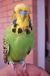     
: DSC03388.jpg
: 26
:	57.3 
ID:	6503835