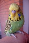     
: DSC03391.jpg
: 29
:	42.0 
ID:	6503837