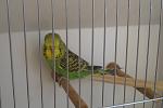     
: DSC02995.jpg
: 15
:	71.7 
ID:	6504371