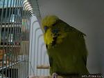     
: 1292362645_27f6fba4_1_bg.jpg
: 17
:	22.5 
ID:	6506550