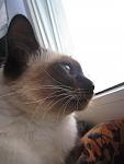     
: IMG_1404.jpg
: 7
:	55.2 
ID:	6507232