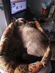     
: IMG_1286.jpg
: 6
:	71.6 
ID:	6507233