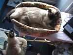     
: IMG_1347.jpg
: 4
:	132.8 
ID:	6507234