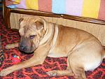     
: DSCF2504.jpg
: 29
:	208.2 
ID:	650771