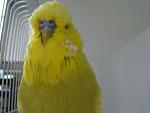     
: 1,0-038-10(2).jpg
: 11
:	121.2 
ID:	6508348