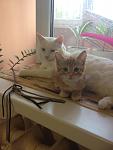    
: IMG_1712.jpg
: 4
:	65.8 
ID:	6512007