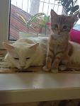     
: IMG_1721.jpg
: 4
:	64.9 
ID:	6512014