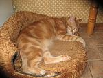     
: IMG_4007.jpg
: 8
:	178.4 
ID:	6514149