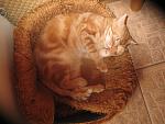     
: IMG_4017.jpg
: 9
:	158.9 
ID:	6514152