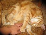     
: IMG_4036.jpg
: 16
:	172.5 
ID:	6514153