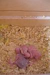     
: DSC03474.jpg
: 10
:	73.0 
ID:	6515157