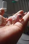     
: DSC03476.jpg
: 11
:	51.3 
ID:	6515159