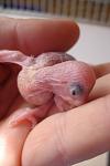     
: DSC03478.jpg
: 14
:	45.5 
ID:	6515164