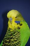     
: DSC02790.jpg
: 13
:	66.6 
ID:	6515182