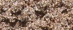     
: almsand5.jpg
: 4
:	164.6 
ID:	6516143