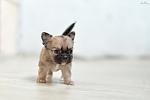     
: DSC_0723.jpg
: 13
:	151.8 
ID:	6517425