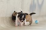     
: DSC_0651.jpg
: 19
:	283.7 
ID:	6517427