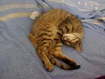     
: 030720131007.jpg
: 14
:	146.3 
ID:	6519529