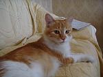     
: DSC04518.jpg
: 74
:	108.2 
ID:	6523397