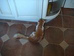     
: DSC04533.jpg
: 33
:	90.0 
ID:	6523398