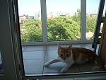     
: DSC04525.jpg
: 37
:	119.2 
ID:	6523399