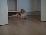     
: DSC04520.jpg
: 36
:	64.3 
ID:	6523400