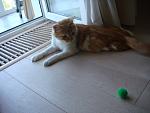     
: DSC04524.jpg
: 26
:	103.8 
ID:	6523404