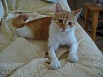     
: DSC04517.jpg
: 69
:	116.0 
ID:	6523405
