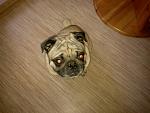     
: 2013-07-16-0306.jpg
: 30
:	191.4 
ID:	6524048